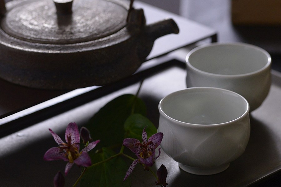 作家の器通販｜洗練された食卓を演出 - IVORY