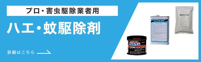 スナッグゴルフ 10人用セット 説明DVD付き 【送料無料】SNAG