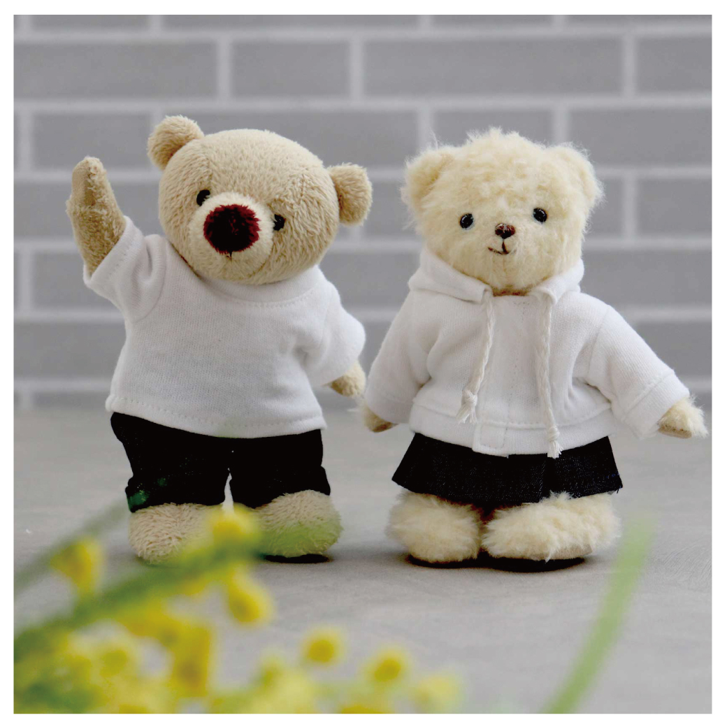 プティルウ 本店 お名前入れテディベアギフト専門店